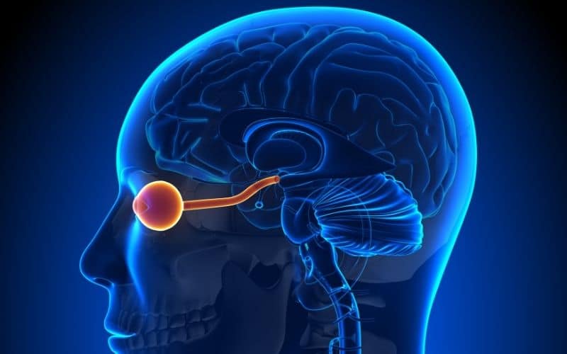 Anomalías congénitas del nervio óptico